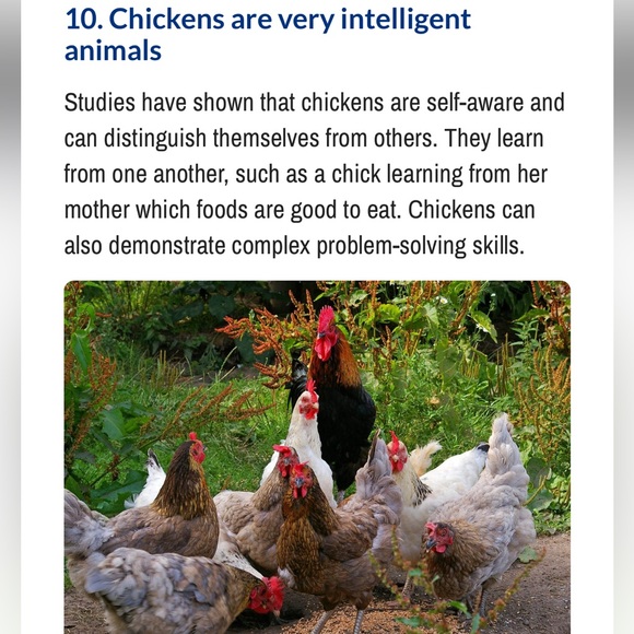 #4 LIKE LISTING #5 Comments Full - Picture 9 of 16